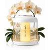 image:imageOVENTE 15L Portable Cordless Cool Humidifier 2 Mist Modes White HMD50W