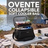 image:imageOVENTE Collapsible Soft Cooler Bag Insulated Lunch Bag Green CCBI024GGBlack