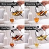 image:imageOVENTE Glass Teapot with Removable Stainless Steel Infuser Clear FGH17TClear  17 Ounce